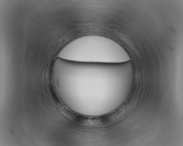 X0000112730270200908201020