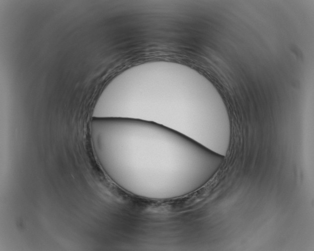 X0000112730271200908201020