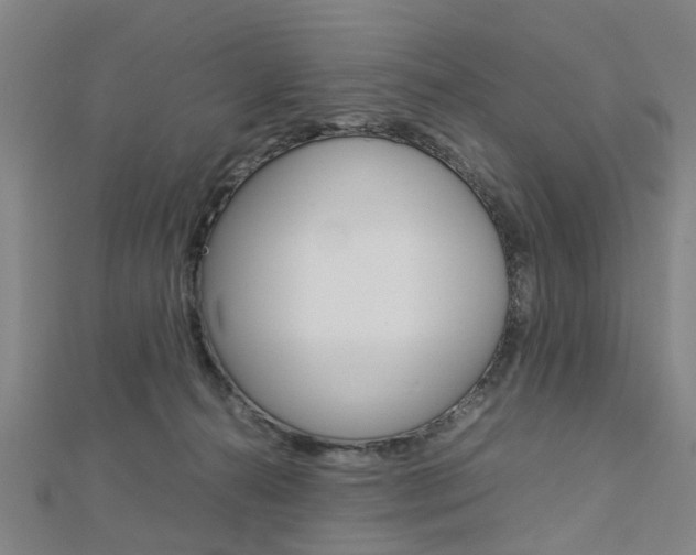 X0000112730272200908201020