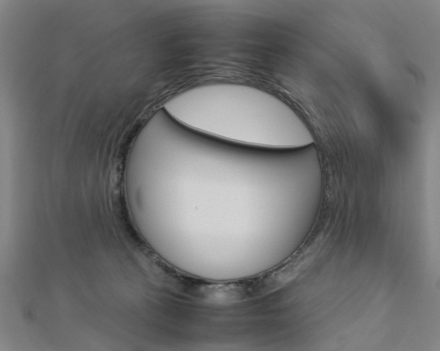 X0000112730273200908201020