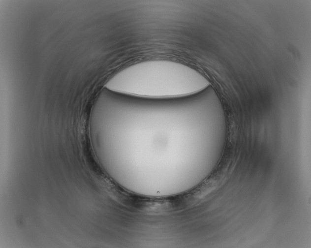 X0000112730274200908201020