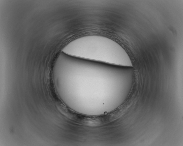 X0000112730275200908201020