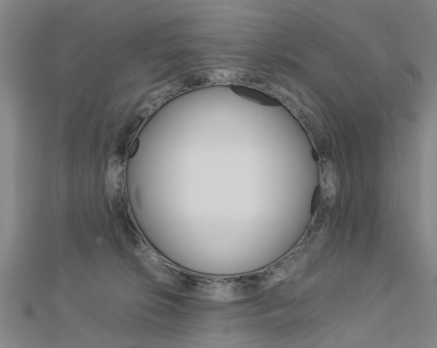 X0000112730276200908201020