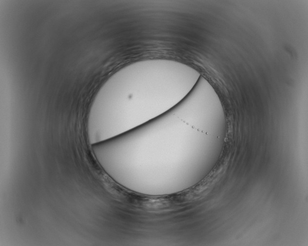 X0000112730277200908201020