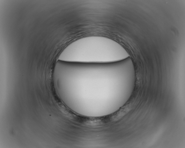 X0000112730278200908201020