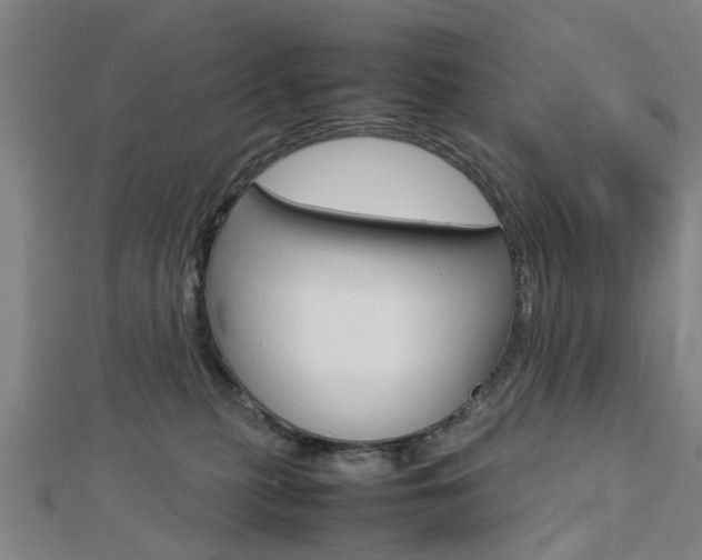 X0000112730279200908201020