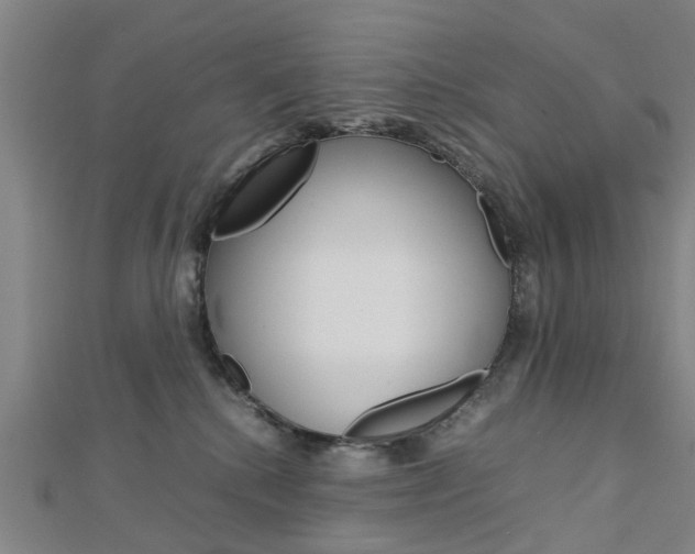 X0000112730280200908201020