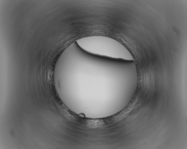 X0000112730281200908201020