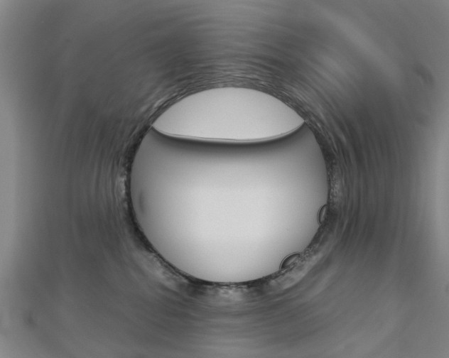 X0000112730282200908201020