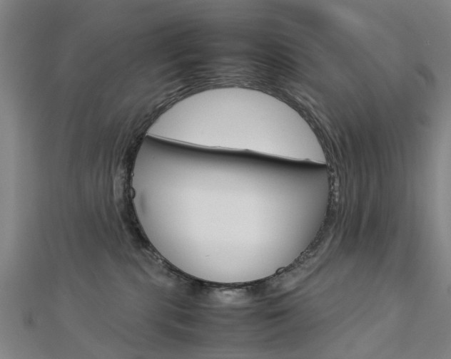 X0000112730283200908201020