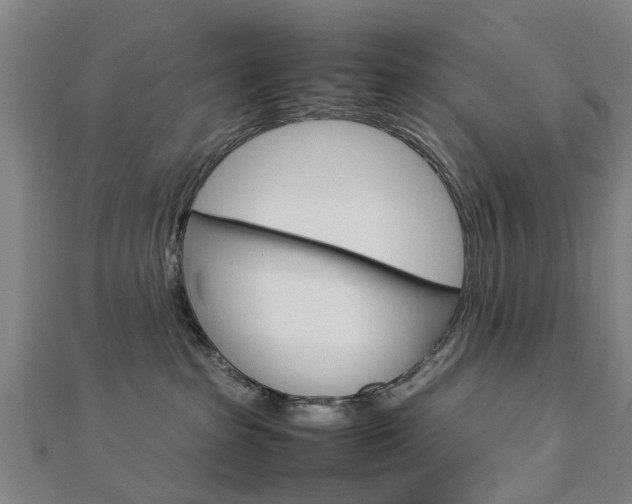 X0000112730285200908201020