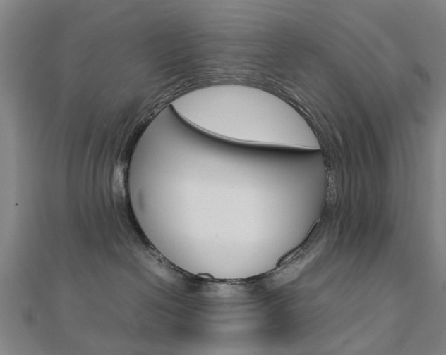 X0000112730286200908201020