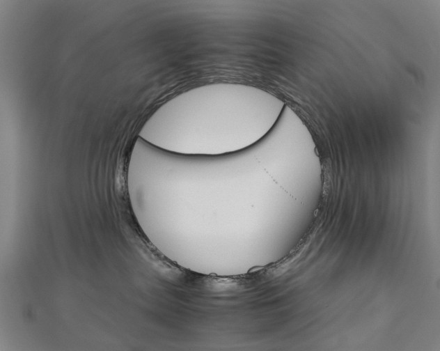 X0000112730287200908201020