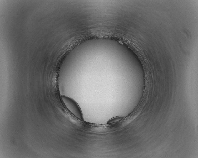 X0000112730288200908201020