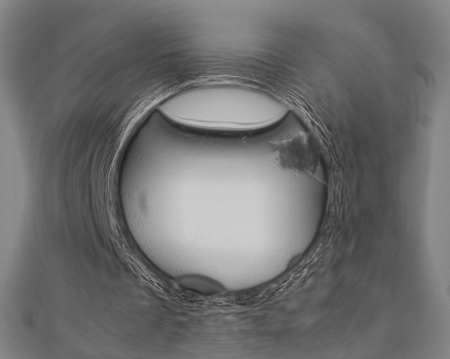 X0000112730289200908201019