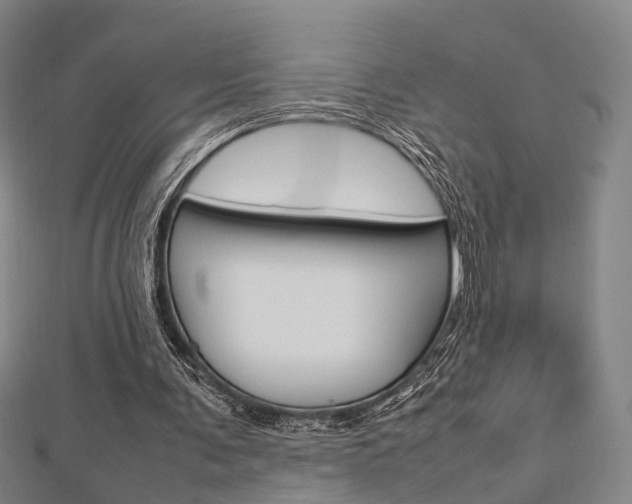 X0000112730291200908201019