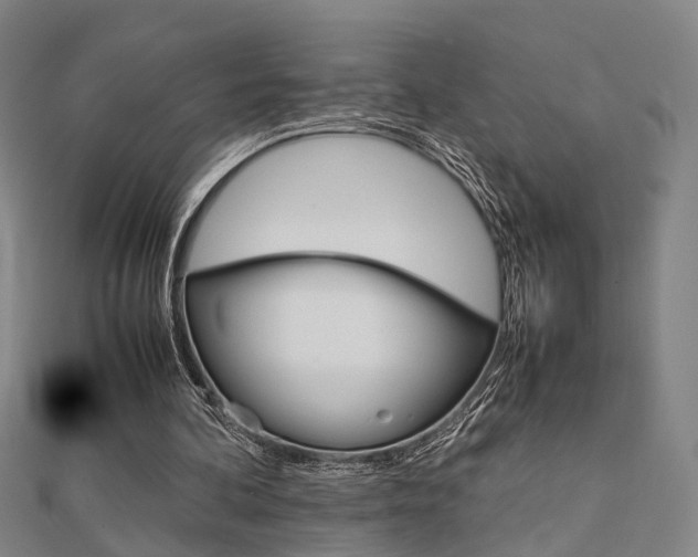 X0000112730292200908201019