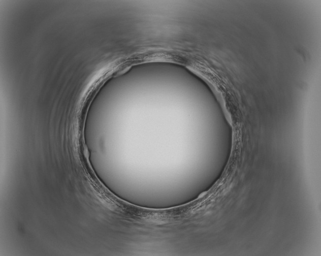 X0000112730293200908201019