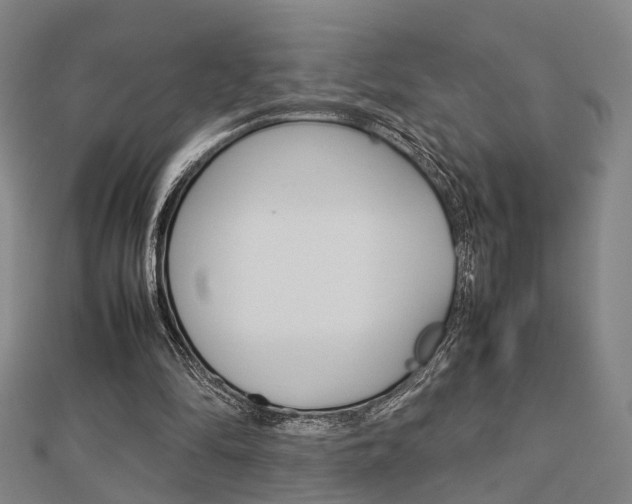 X0000112730294200908201019