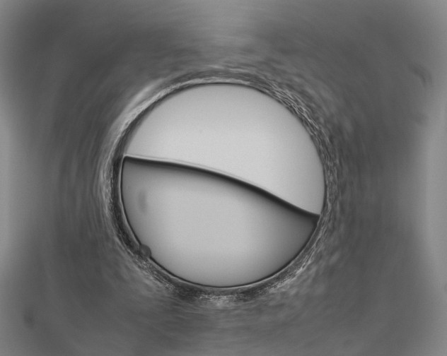 X0000112730295200908201019