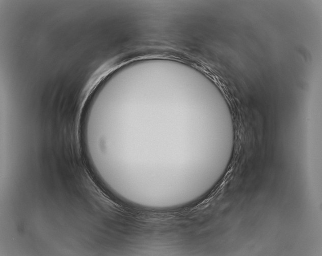 X0000112730296200908201019