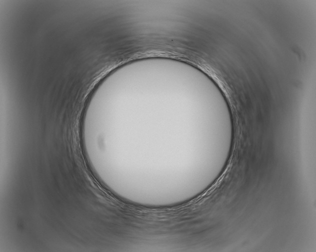 X0000112730297200908201019