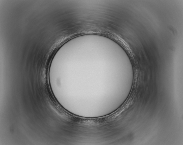 X0000112730298200908201019