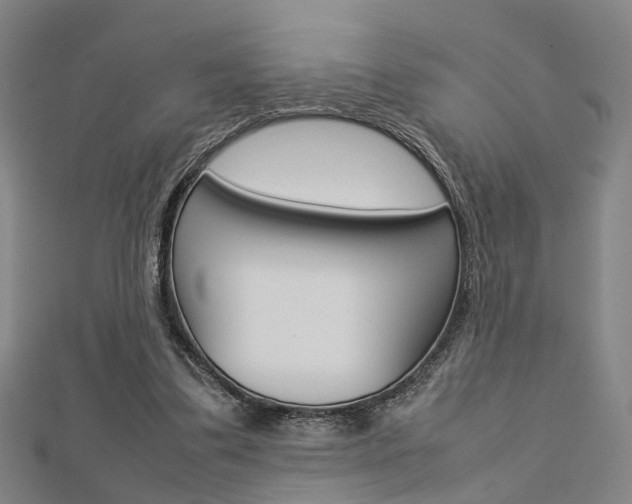 X0000112730299200908201019