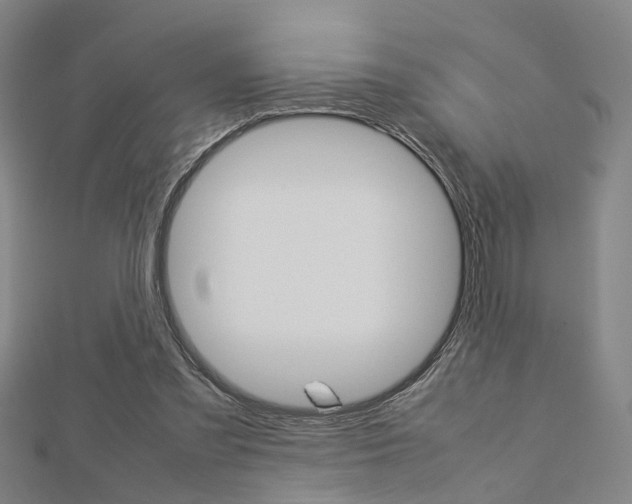 X0000112730301200908201019