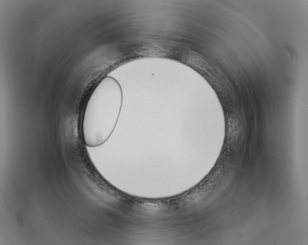 X0000112730302200908201019