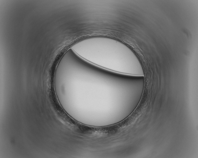 X0000112730303200908201019