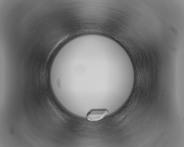 X0000112730304200908201019