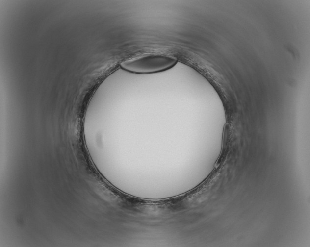 X0000112730305200908201019