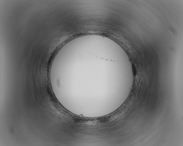 X0000112730306200908201019