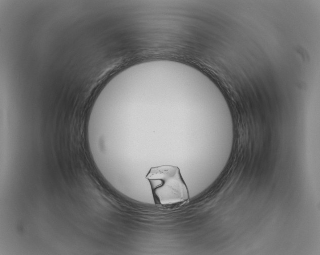 X0000112730308200908201019