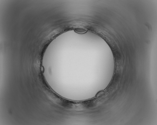 X0000112730309200908201019