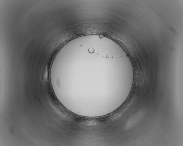 X0000112730310200908201019