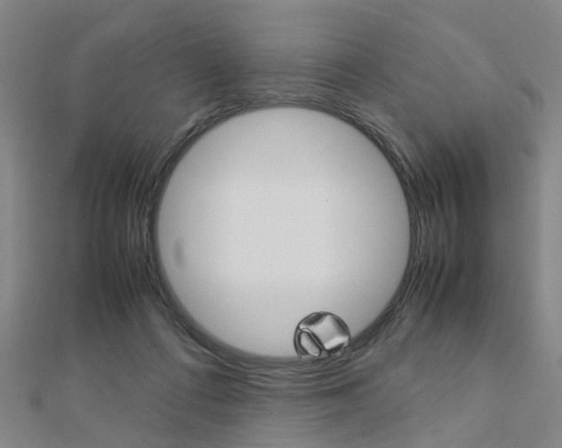 X0000112730312200908201019