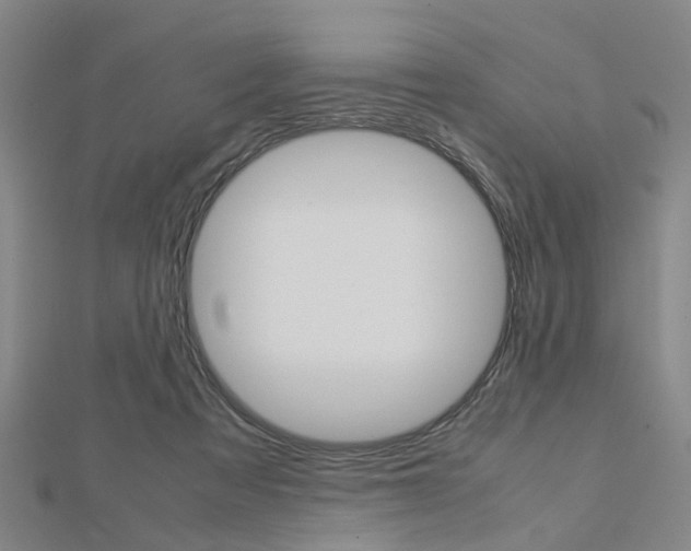 X0000112730313200908201019