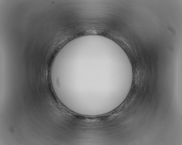 X0000112730314200908201019