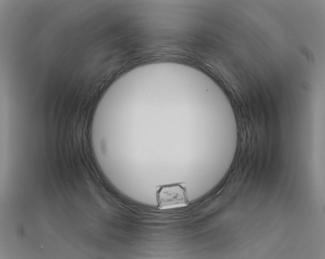 X0000112730316200908201019