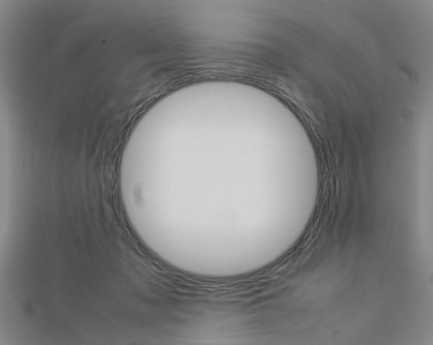 X0000112730317200908201019