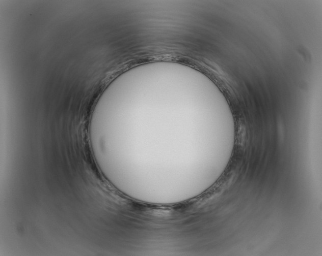 X0000112730318200908201019