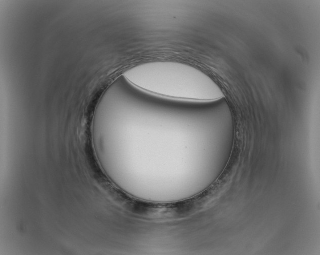 X0000112730319200908201019