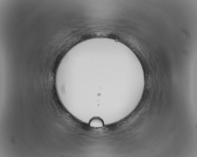 X0000112730321200908201019