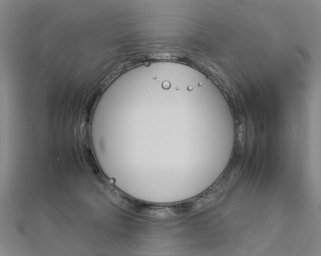 X0000112730322200908201019