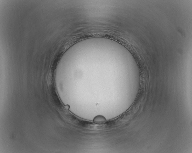 X0000112730323200908201019