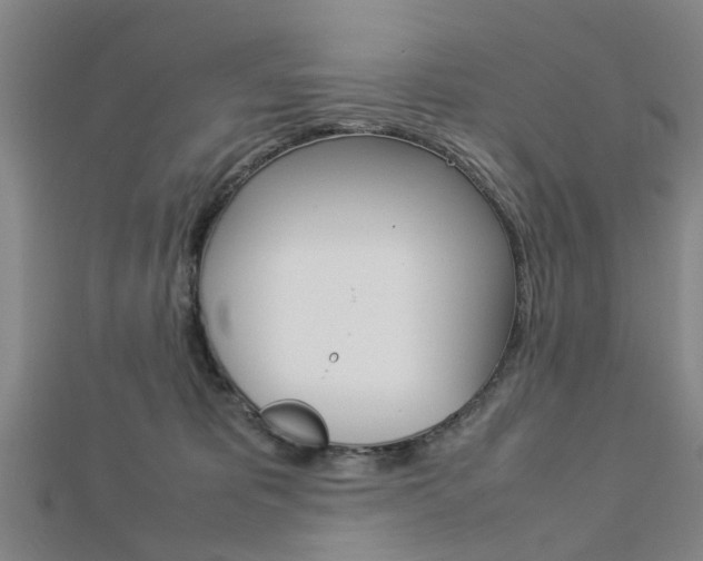 X0000112730325200908201019