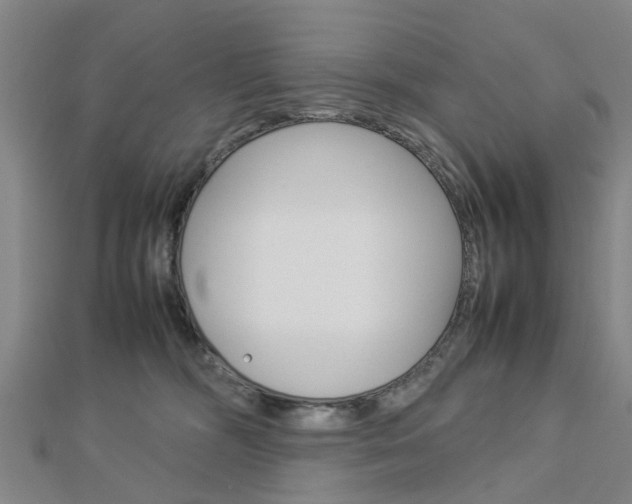 X0000112730326200908201019