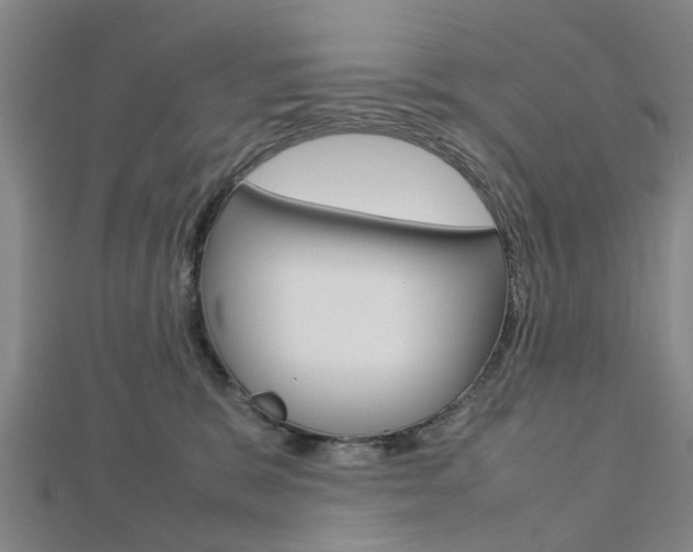 X0000112730327200908201019